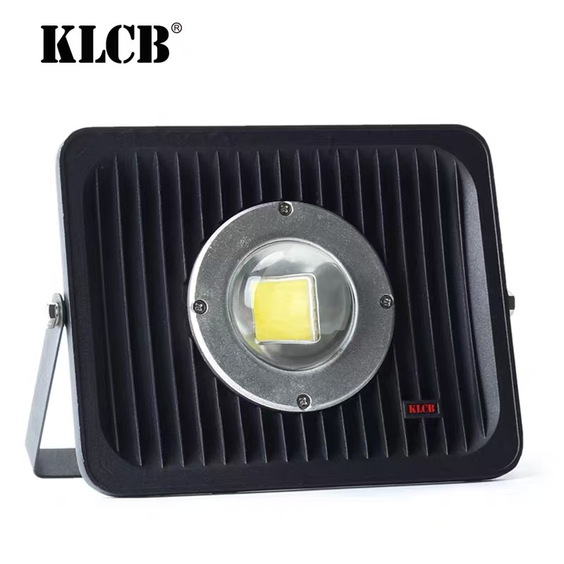 Single-Beam Floodlight Glass - White Light